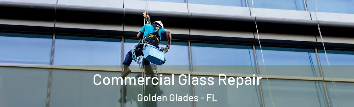 Commercial Glass Repair Golden Glades - FL