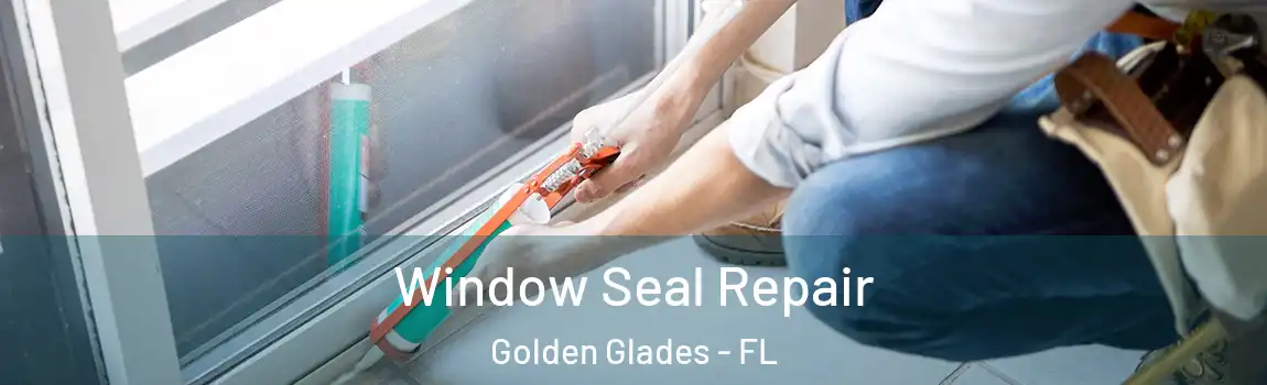 Window Seal Repair Golden Glades - FL